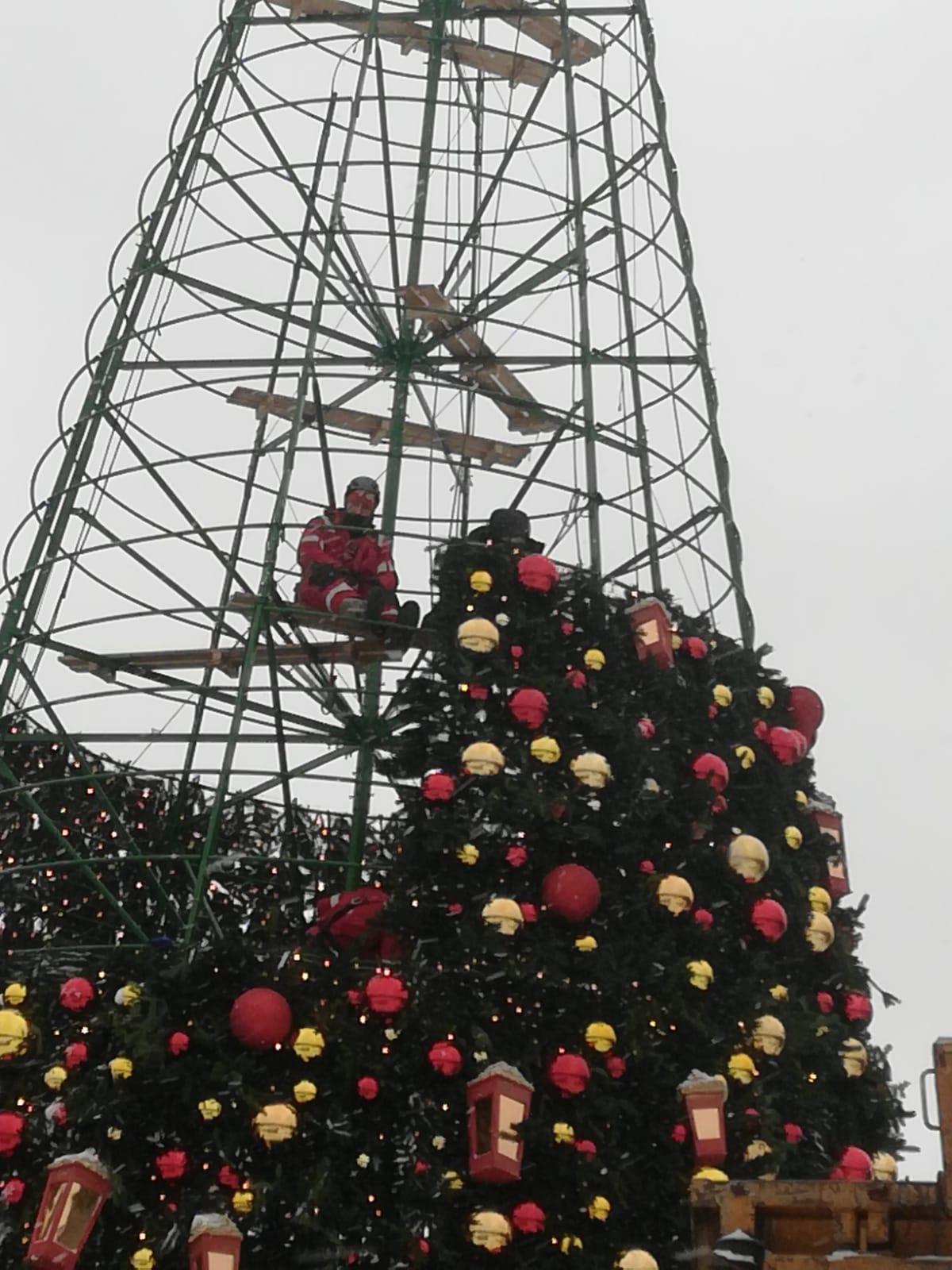 Фото В Новосибирске начали устанавливать ёлку на площади Ленина 3